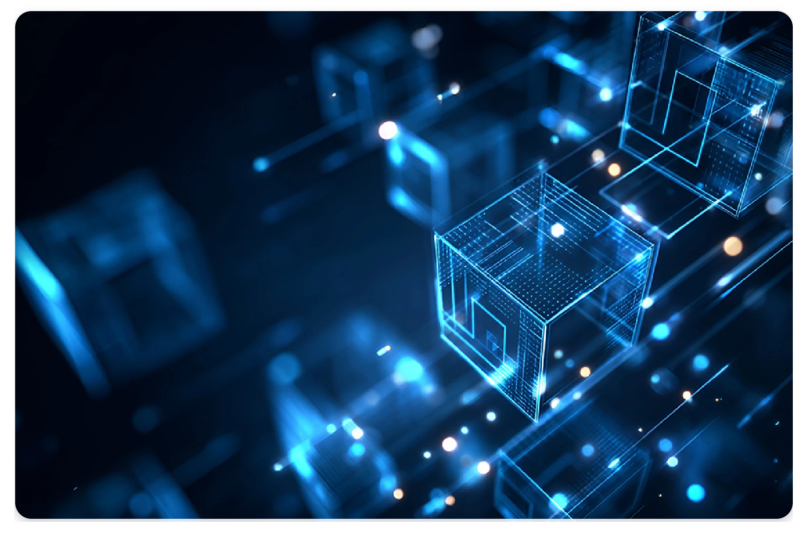 选择我们的理由